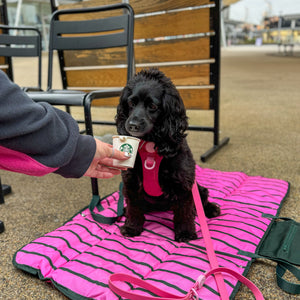 Travel Mat - Walkies Ready®