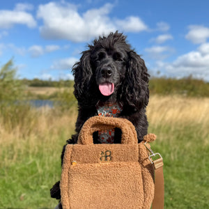 Teddy Crossbody Bag