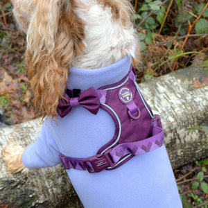 Bow Tie - Walkies Ready® - Plum