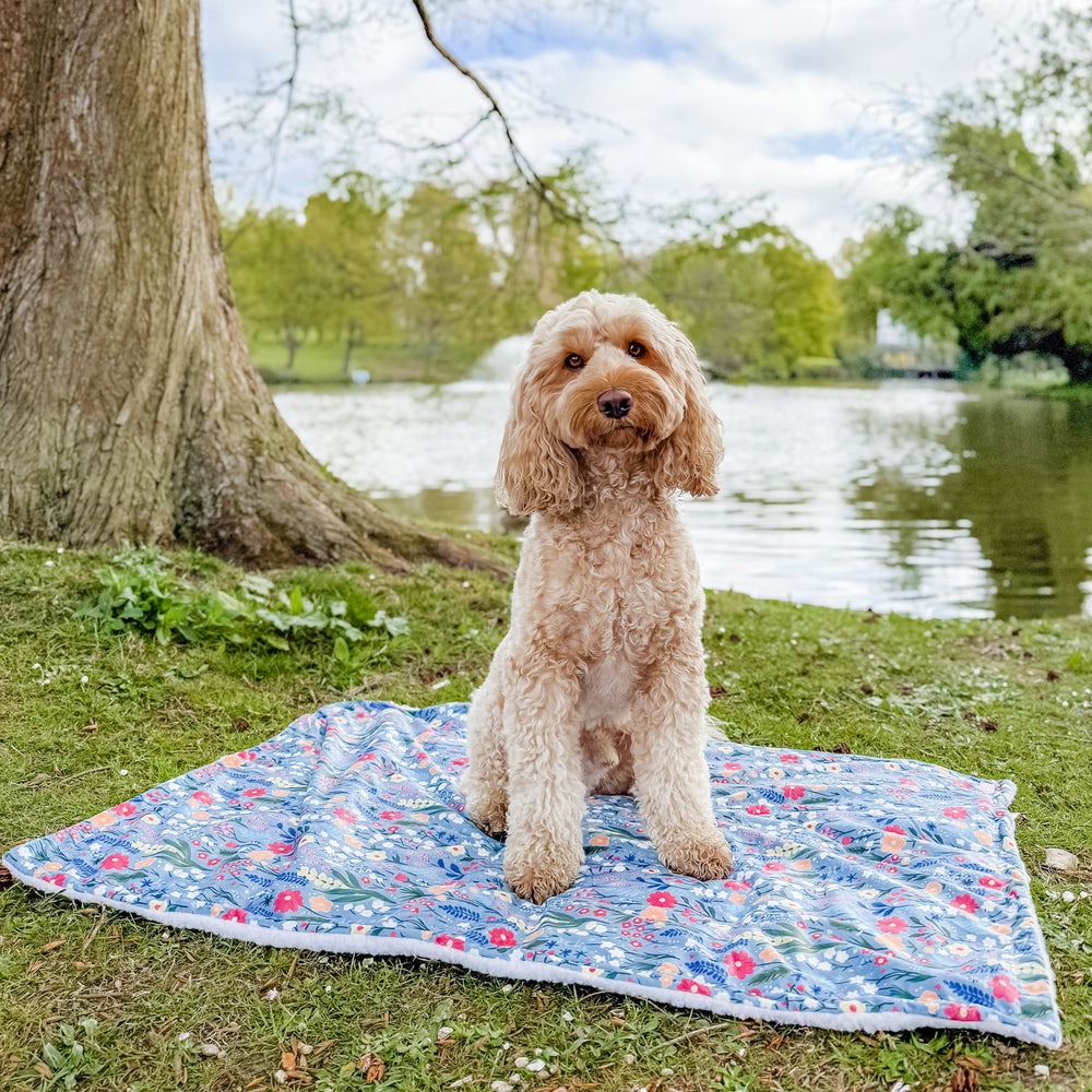 Dog Blanket -  Whimsical Wildflowers