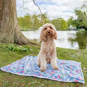 Dog Blanket -  Whimsical Wildflowers