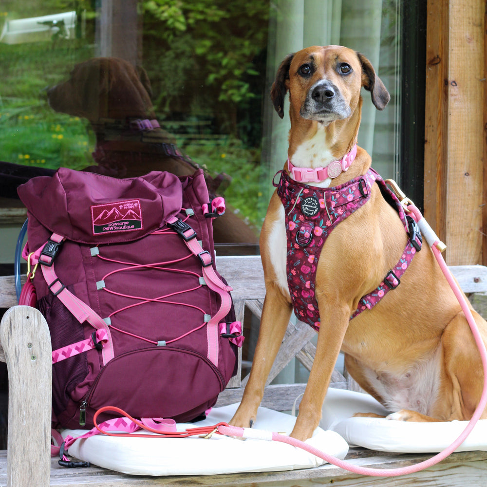 Walkies Ready® Hiking Backpack