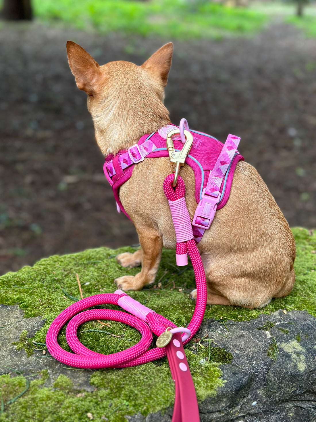 4ft Rope Lead - Walkies Ready® Raspberry Pink