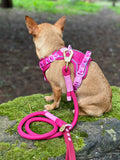 4ft Rope Lead - Walkies Ready® Raspberry Pink