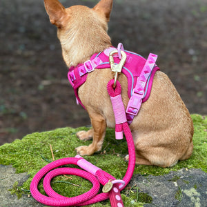 4ft Rope Lead - Walkies Ready® Raspberry Pink