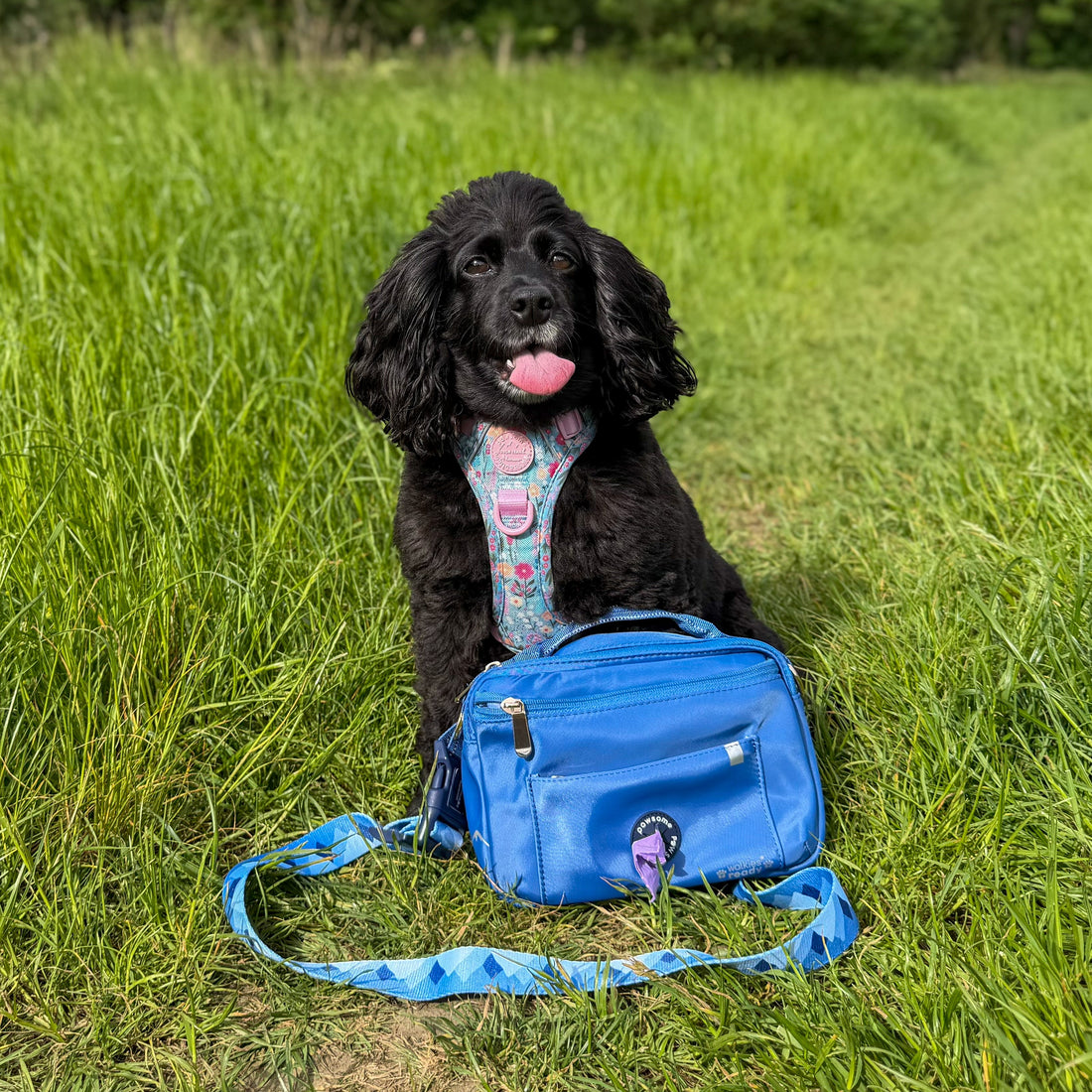 All In One Bumbag - Cornflower Blue