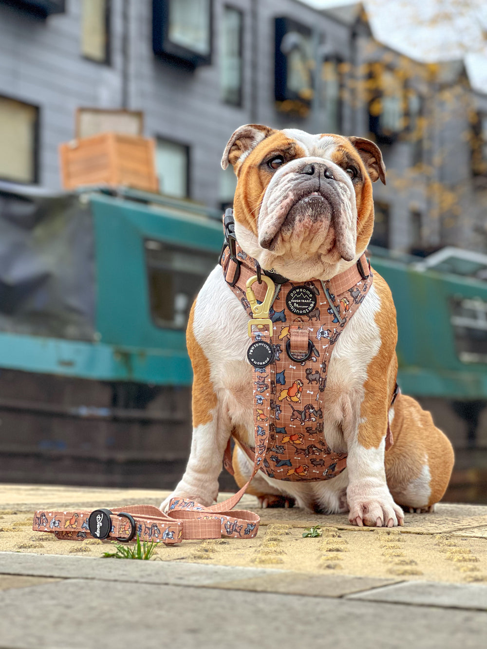 Disney© Lead - Disney Dogs