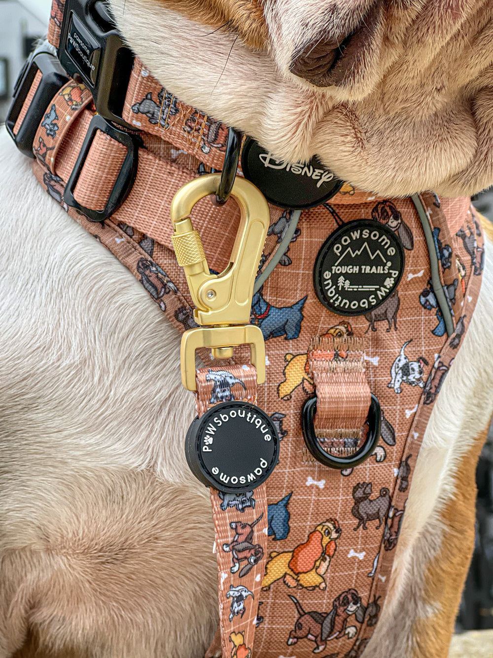 Disney© Lead - Disney Dogs