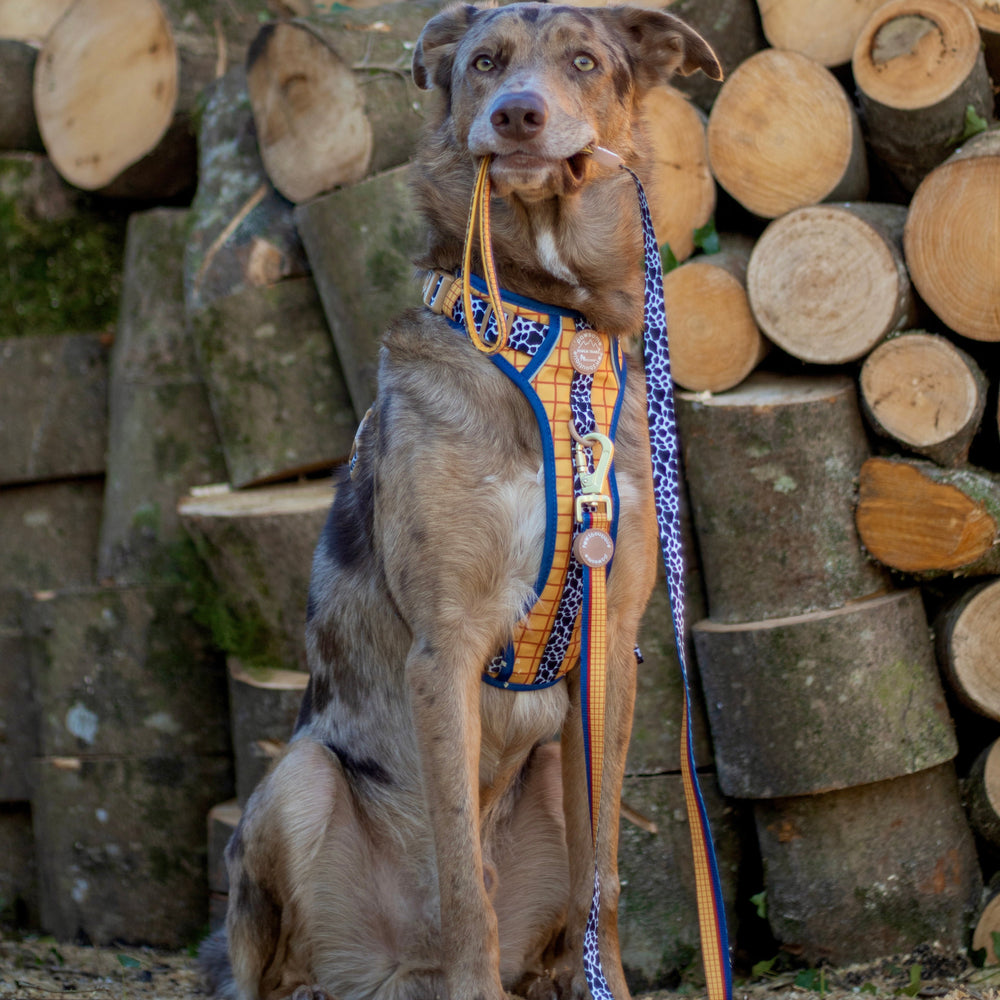 Disney© Lead - Woody