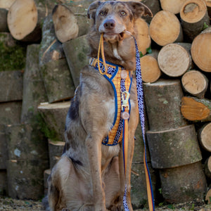 Disney© Lead - Woody