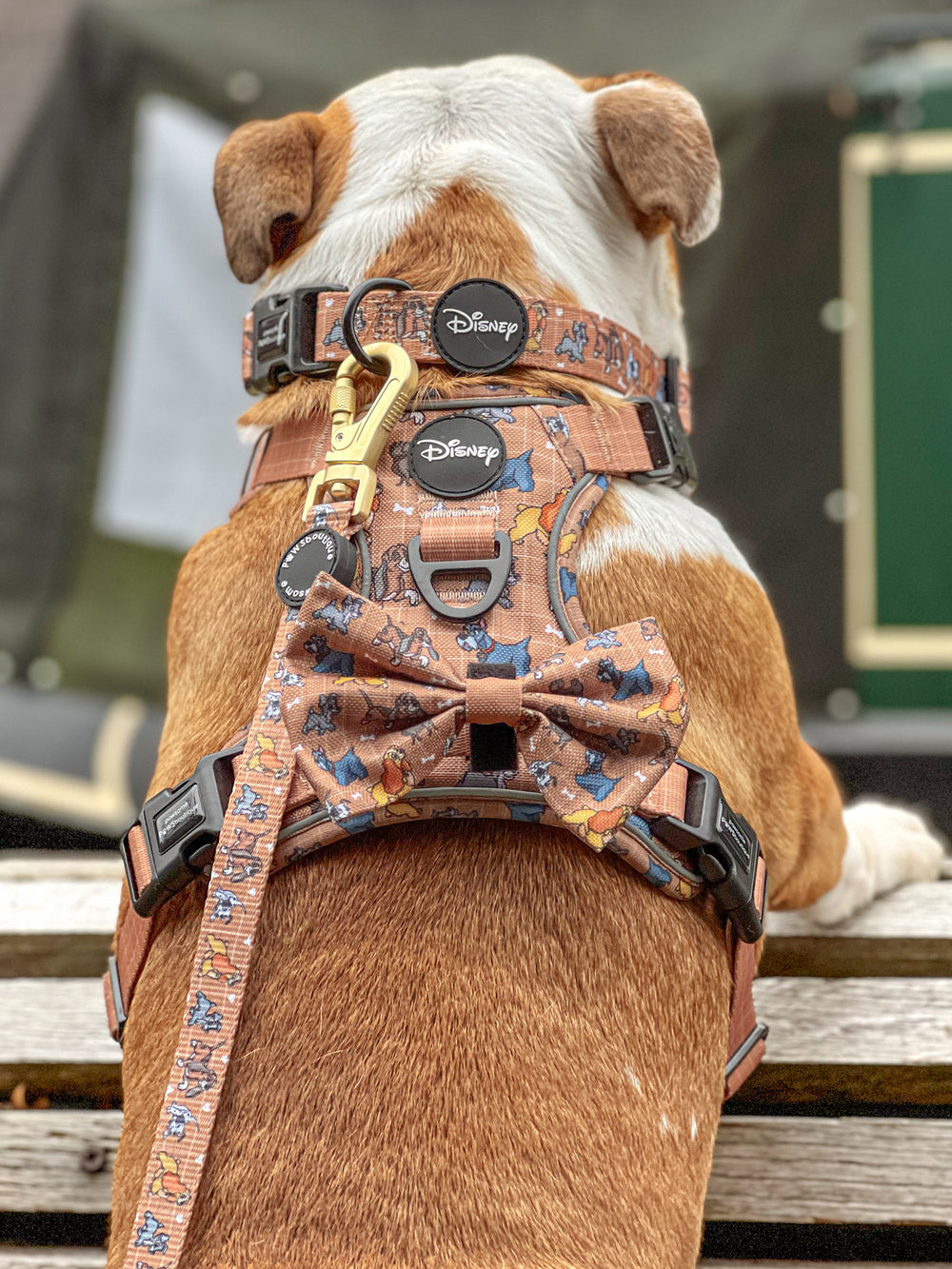 Disney© Bow Tie - Disney Dogs