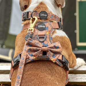 Disney© Bow Tie - Disney Dogs