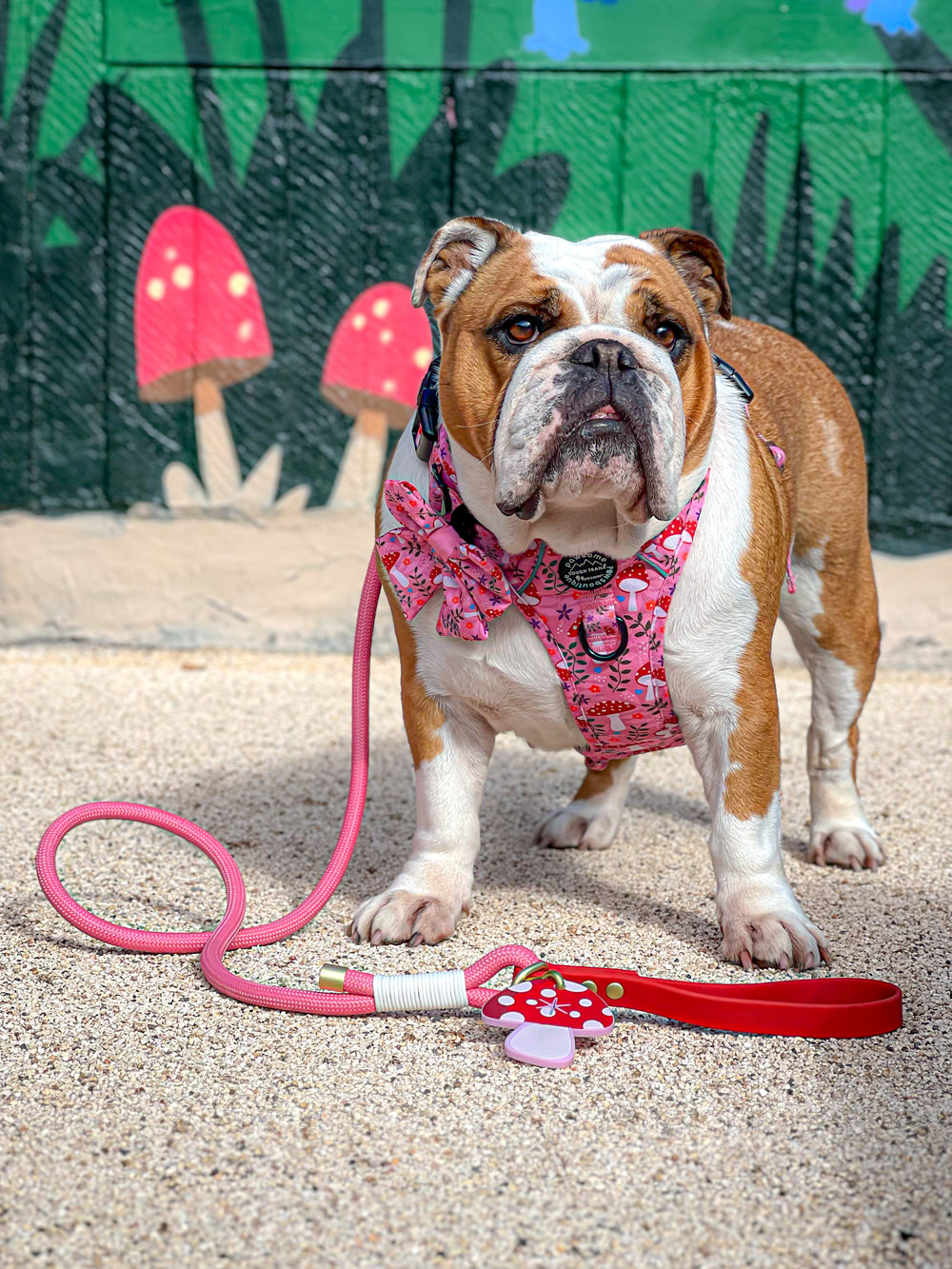 4ft Rope Lead - Red + Pink