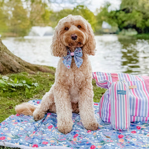 Sailor Bow - Whimsical Wildflowers