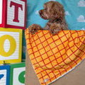 Disney© Dog Blanket - Woody