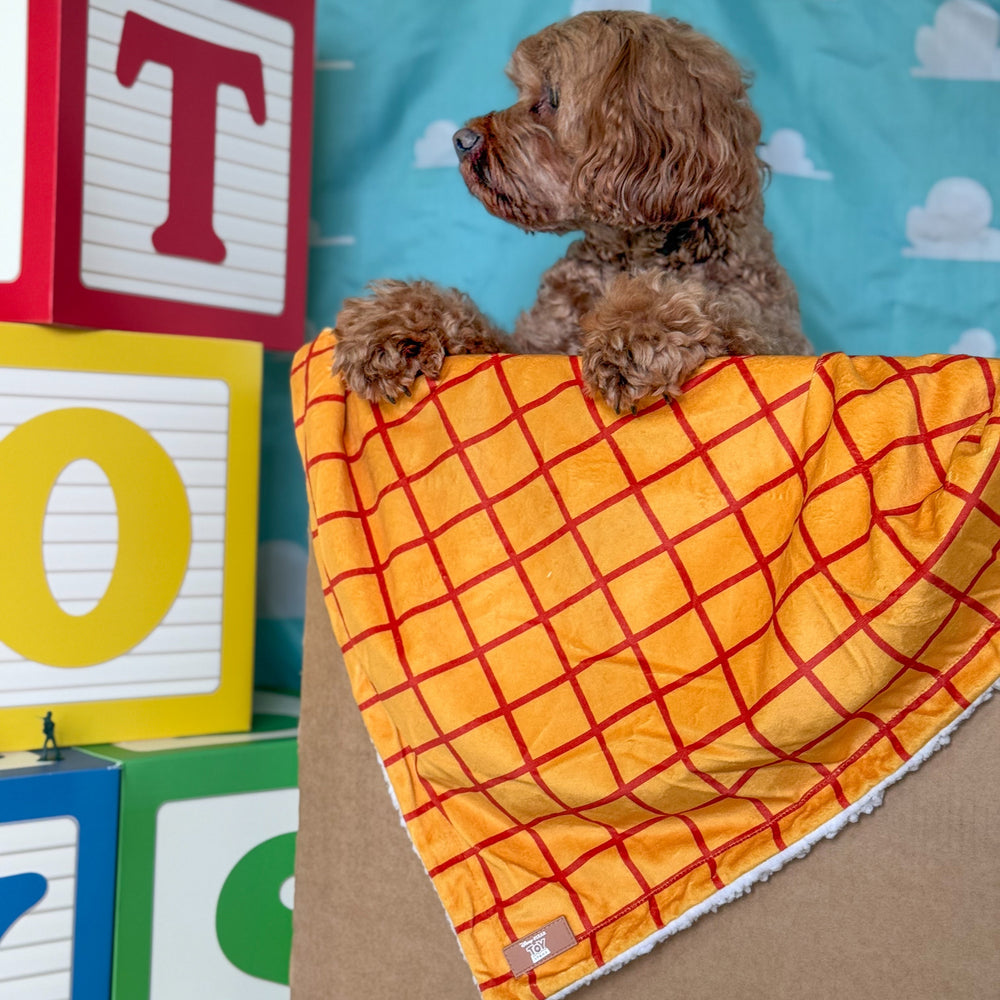 Disney© Dog Blanket - Woody