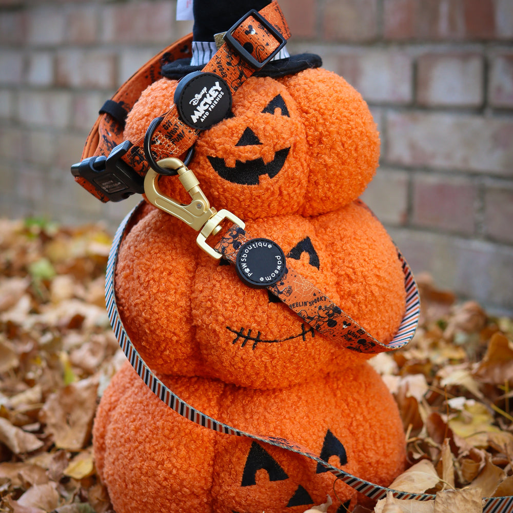 Disney© Lead - Halloween