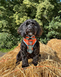 Bow Tie - Harvest Plaid