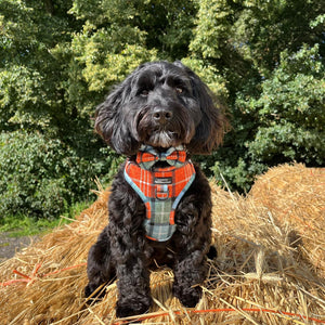 Bow Tie - Harvest Plaid