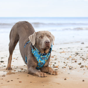 Disney© Tough Trails™ Harness - Simba