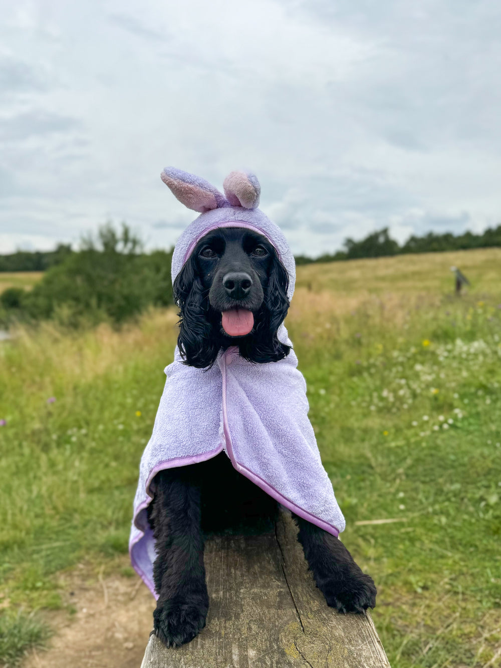 Disney© Hooded Microfibre Towel - Bambi + Friends Lilac