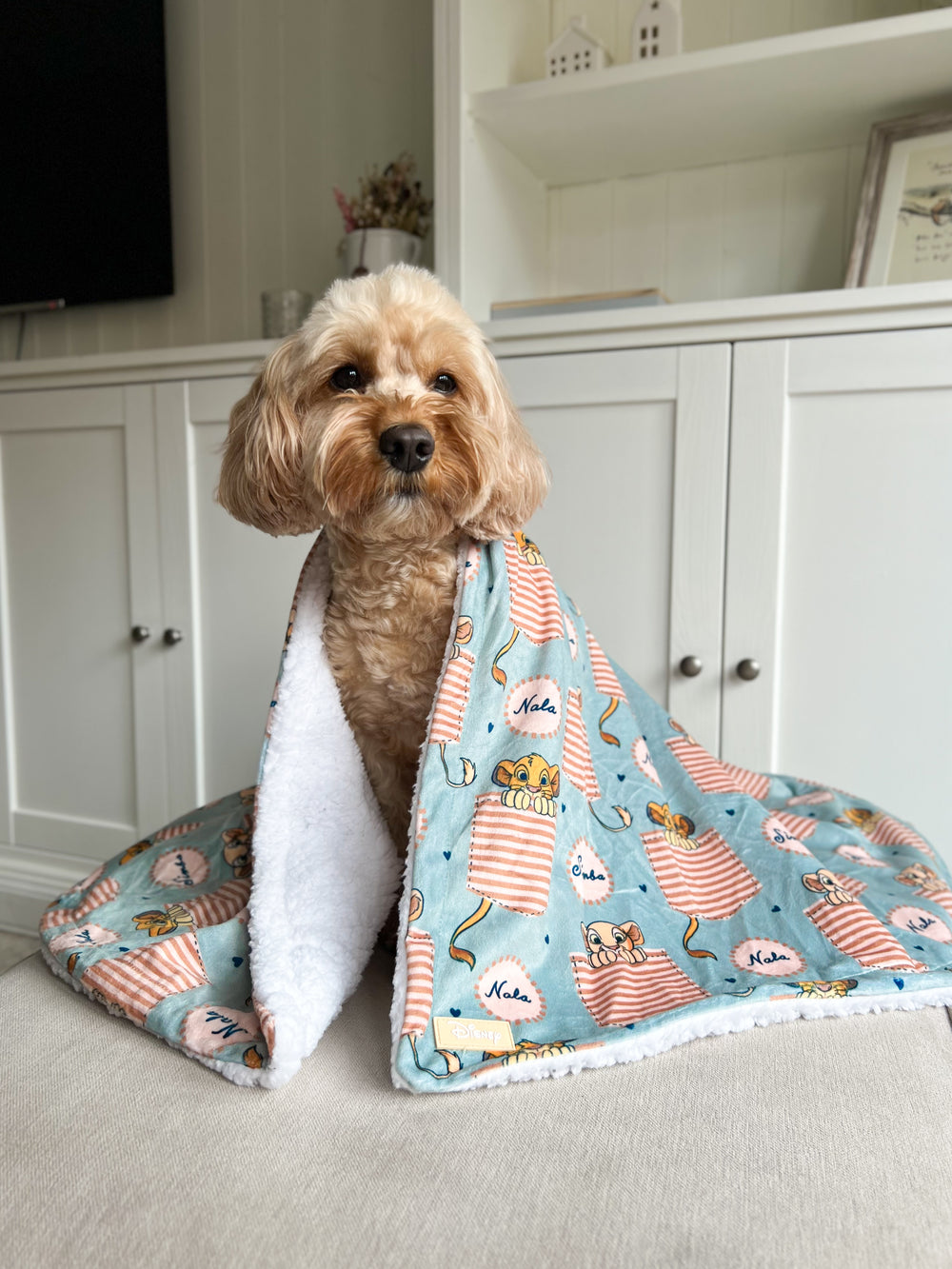 Disney© Dog Blanket - Lion Friends