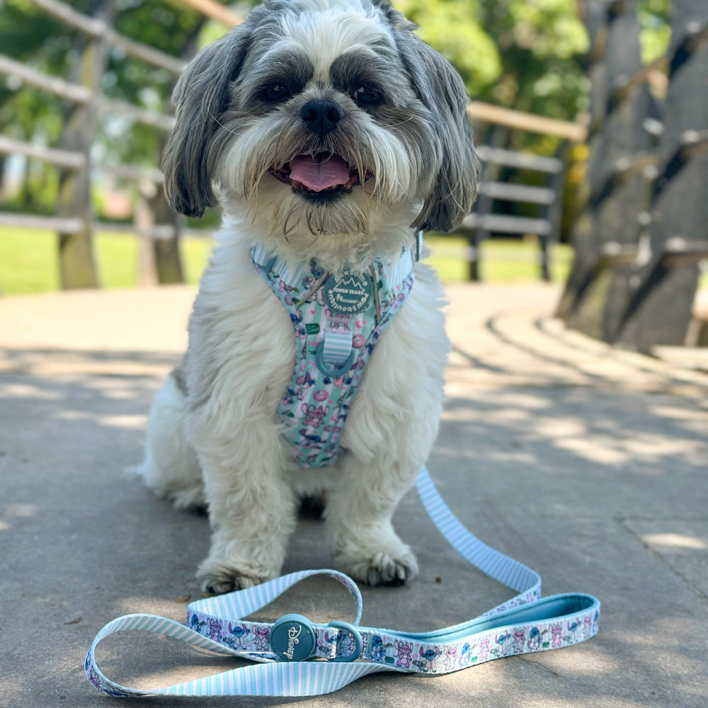 Disney© Lead - Stitch's Slumber Party