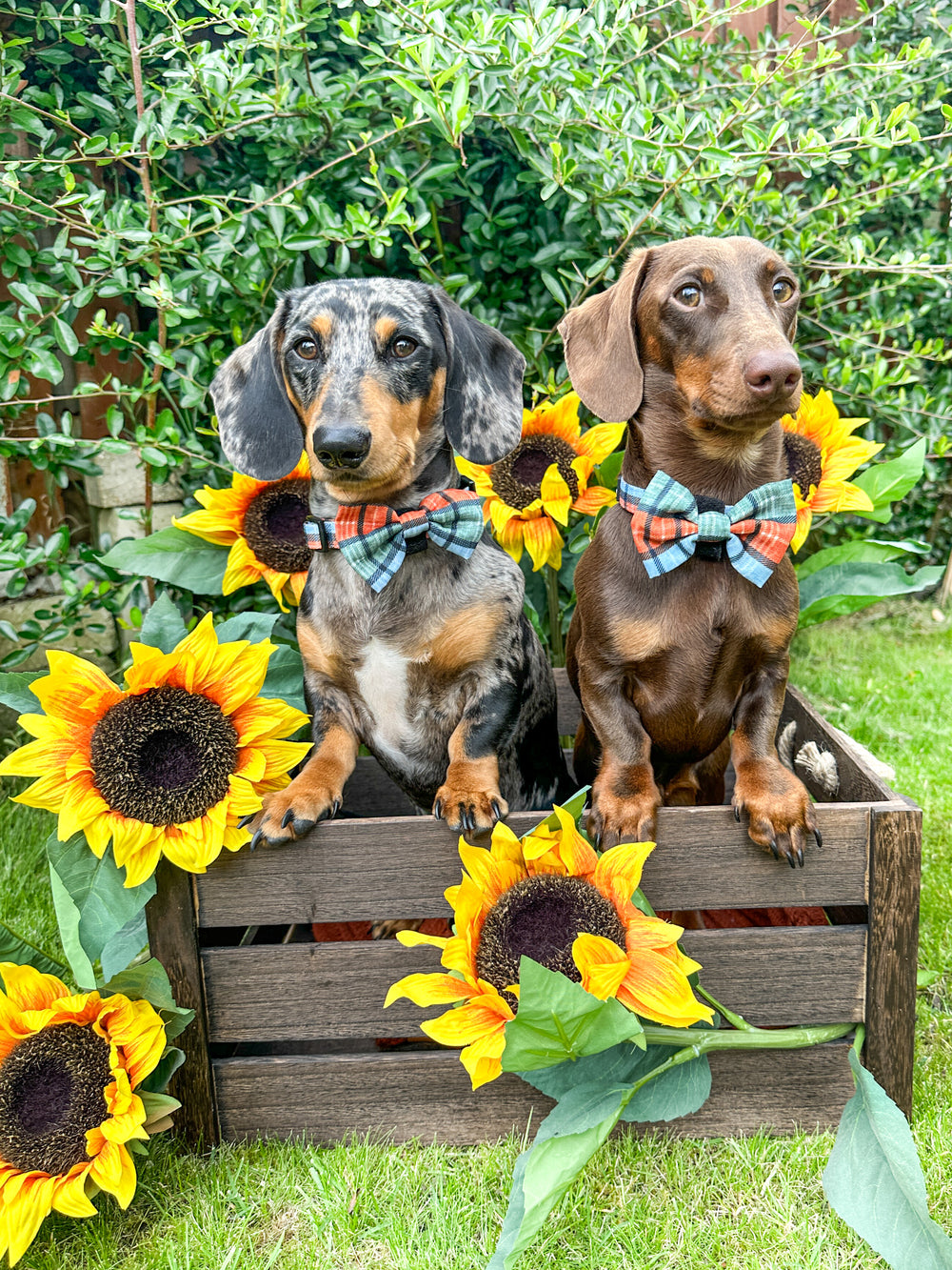 Bow Tie - Harvest Plaid