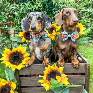 Bow Tie - Harvest Plaid