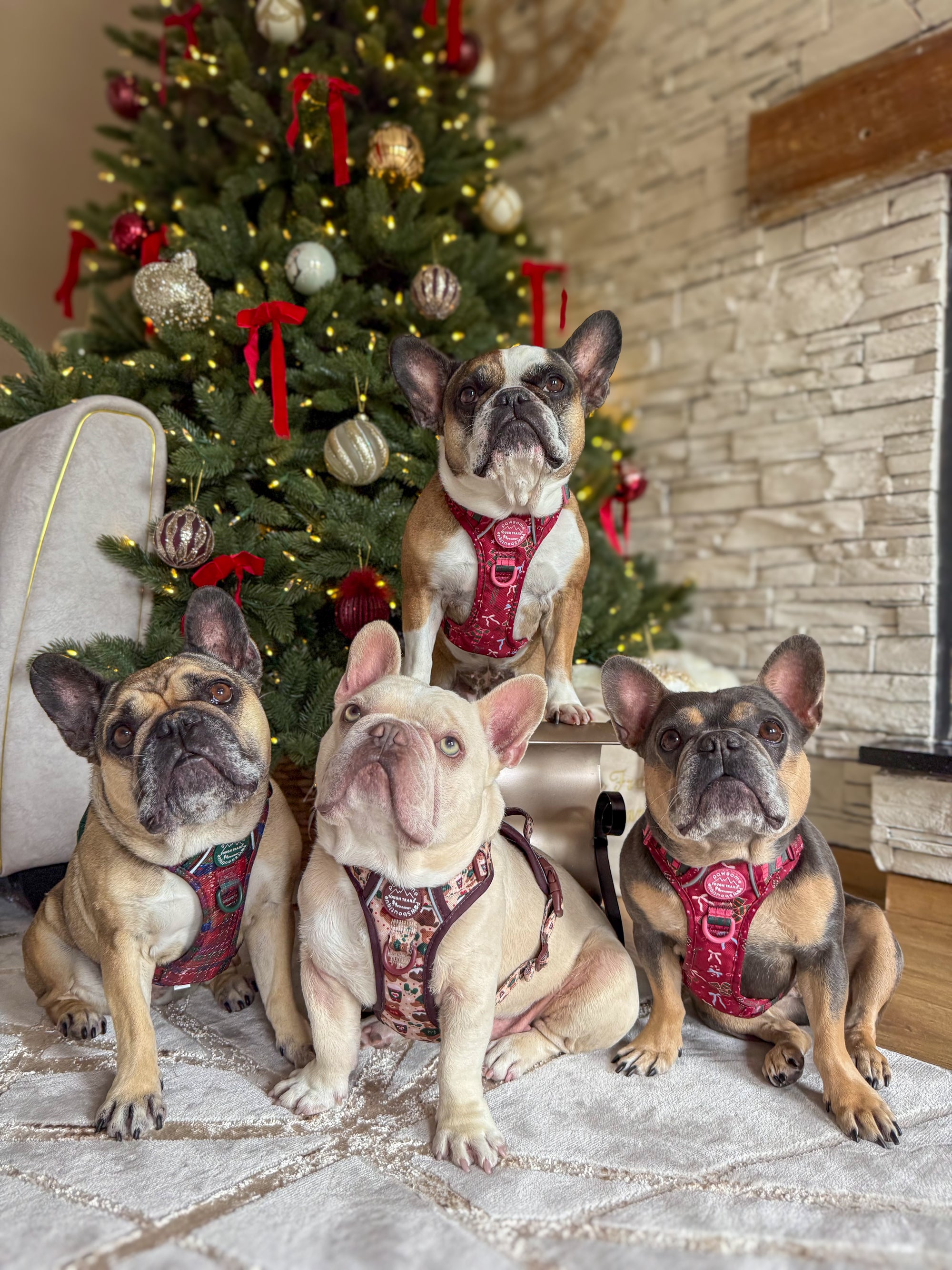 CHRISTMAS-image