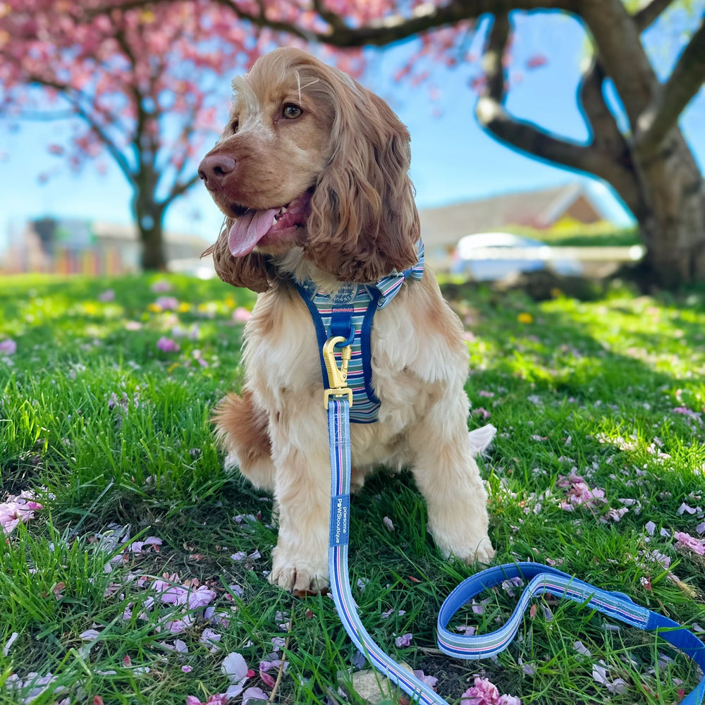 Lead - Sailor Stripes