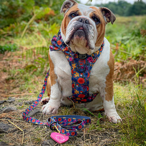 Pawsome Poop Pocket - Pretty Pink