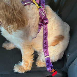 Walkies Ready® Seat Belt Restraint - Plum