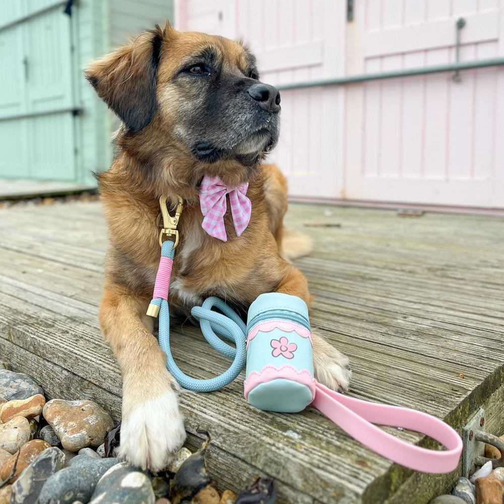 Disney© Treat Pouch - Mad Hatters Tea Party