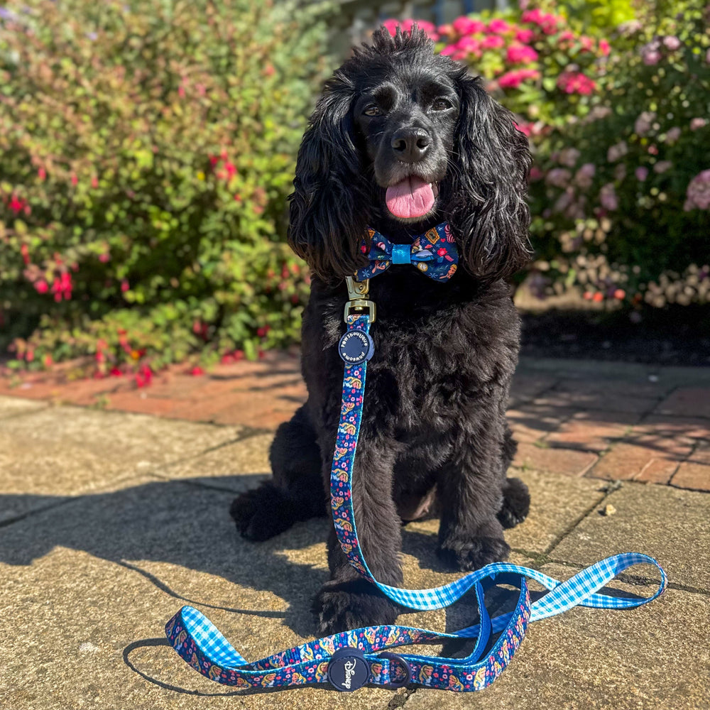 Disney© Lead - Alice In Wonderland