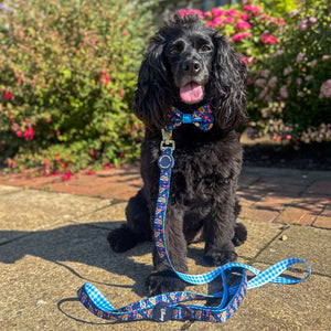 Disney© Lead - Alice In Wonderland