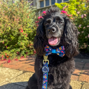 Disney© Bow Tie - Alice In Wonderland