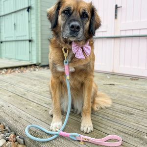 Disney© 4ft Rope Lead - Mad Hatters Tea Party