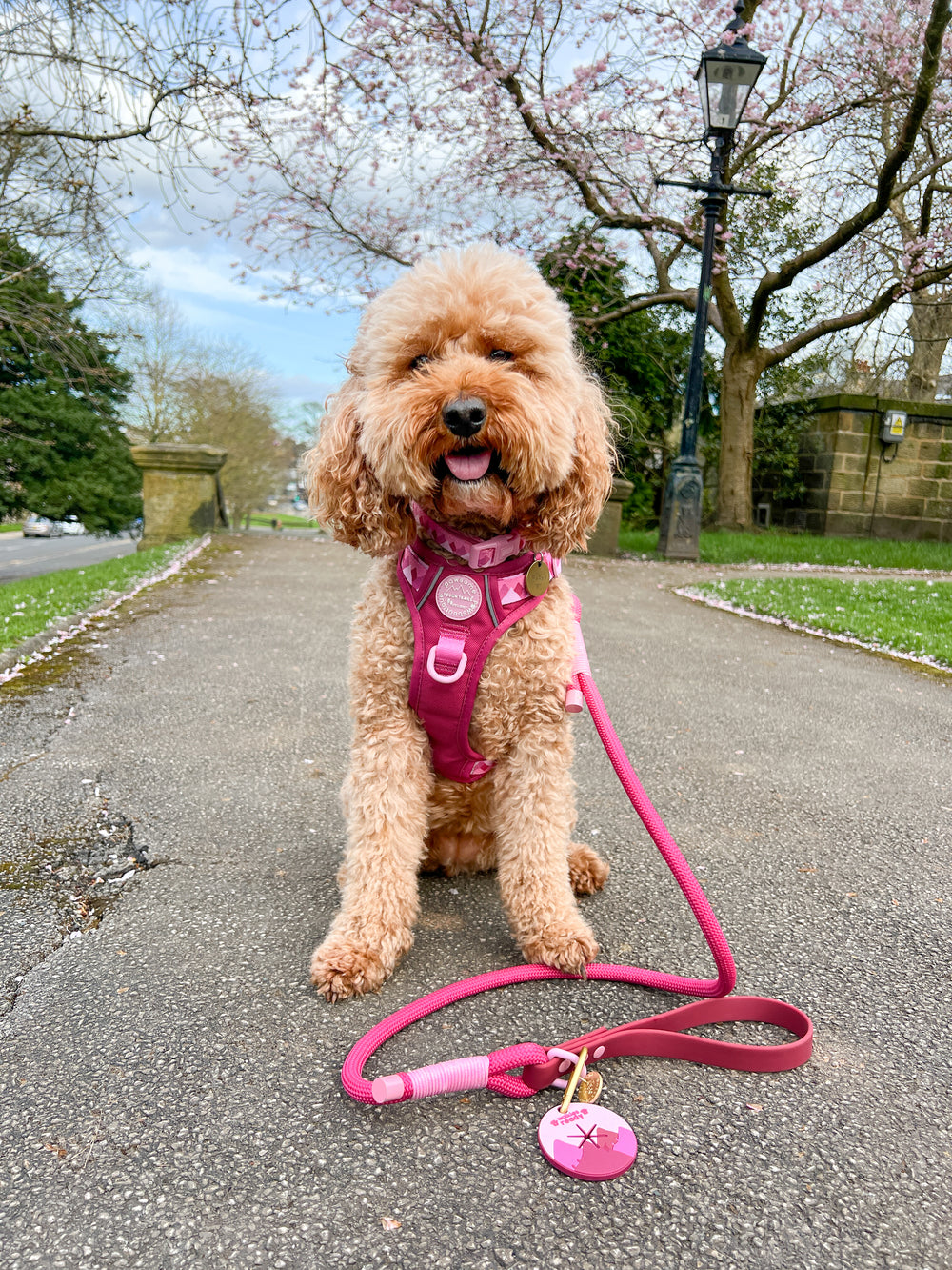 4ft Rope Lead - Walkies Ready® Raspberry Pink