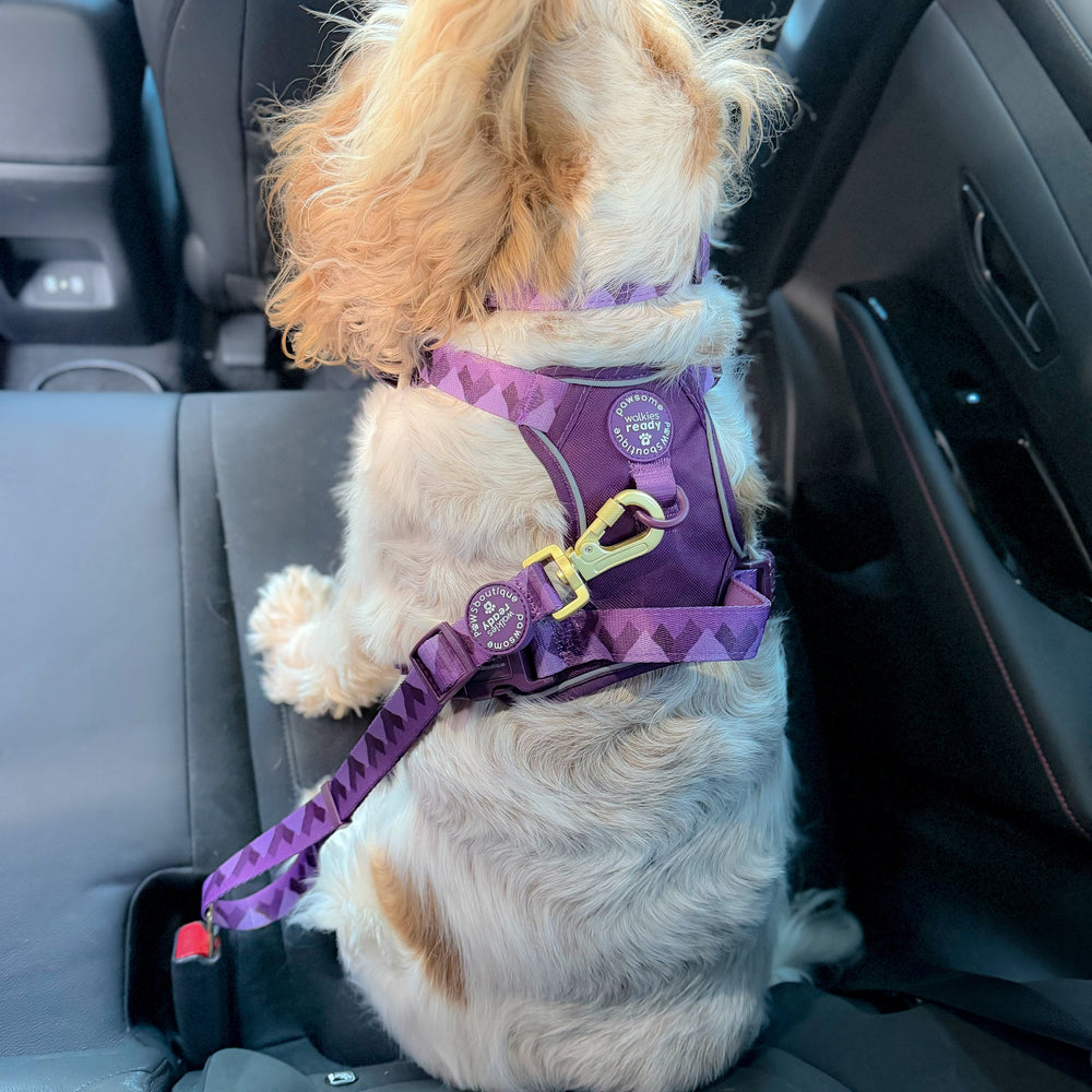 Walkies Ready® Seat Belt Restraint - Plum