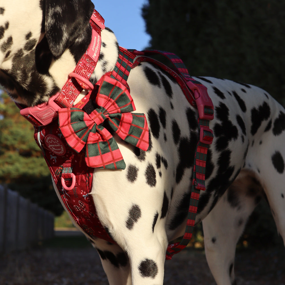 Sailor Bow - Bows Of Joy (Gingham)