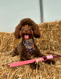 4ft Rope Lead - Mulberry