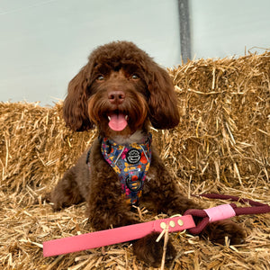 4ft Rope Lead - Mulberry