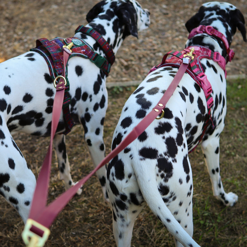 Double Ended Lead - Walkies Ready® Mulberry