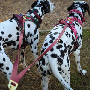 Double Ended Lead - Walkies Ready® Mulberry