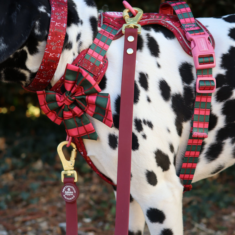 Double Ended Lead - Walkies Ready® Mulberry