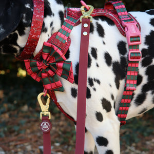 Double Ended Lead - Walkies Ready® Mulberry