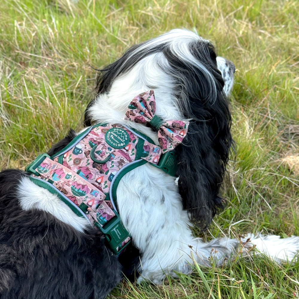 Bow Tie - Adventure Awaits