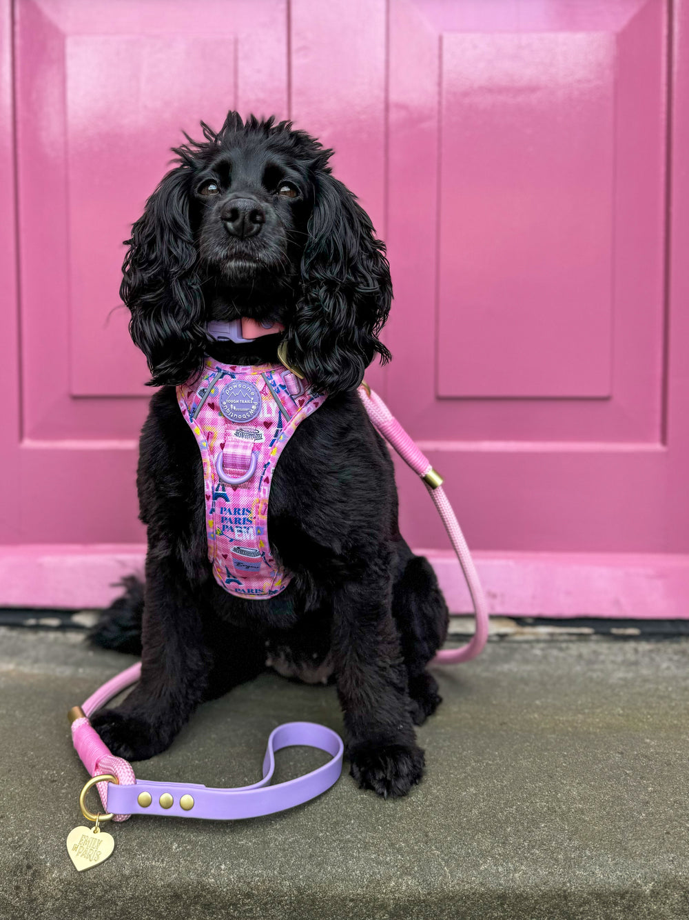 4ft Rope Lead - Emily In Paris