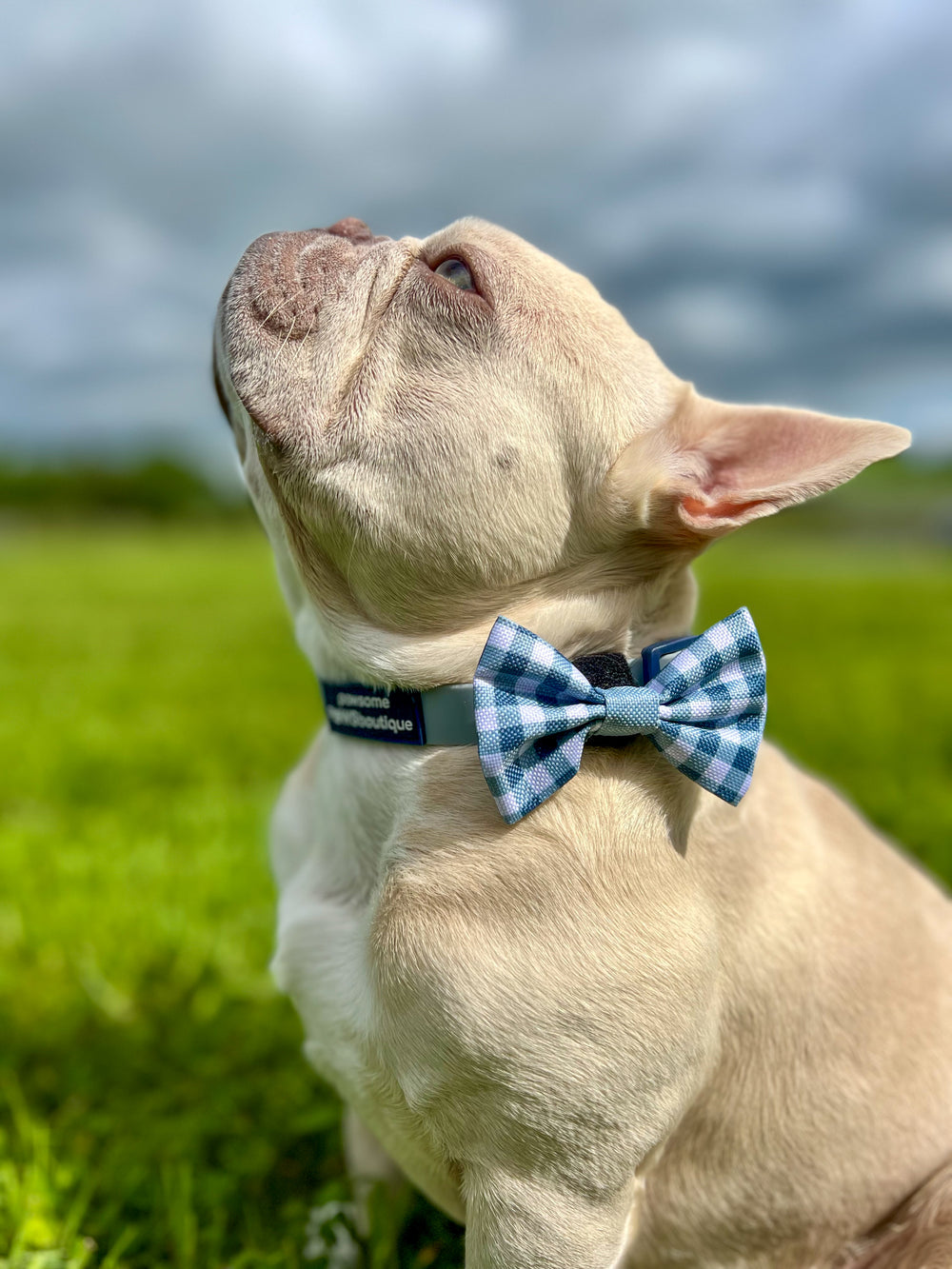 Disney© Bow Tie - Bambi + Friends Blue Gingham